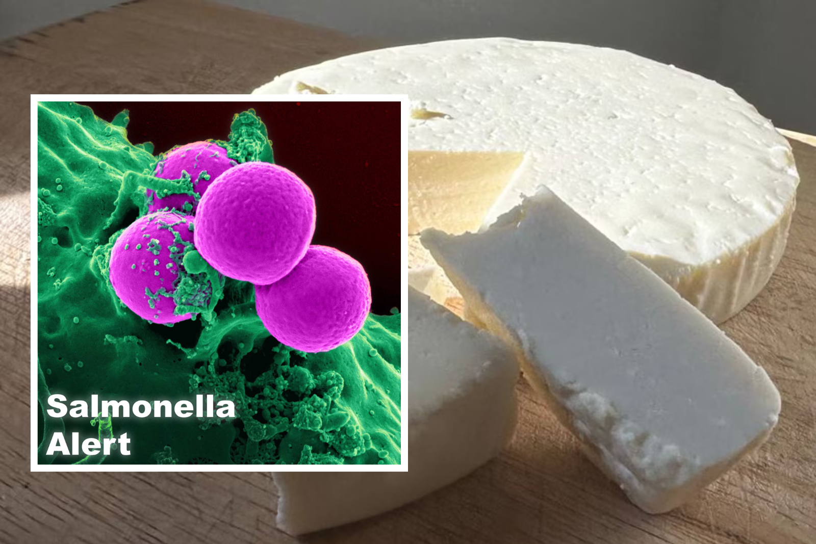 Salmonella Alert: Cream Cheese Recalled in 8 States Sparks Safety Concerns
